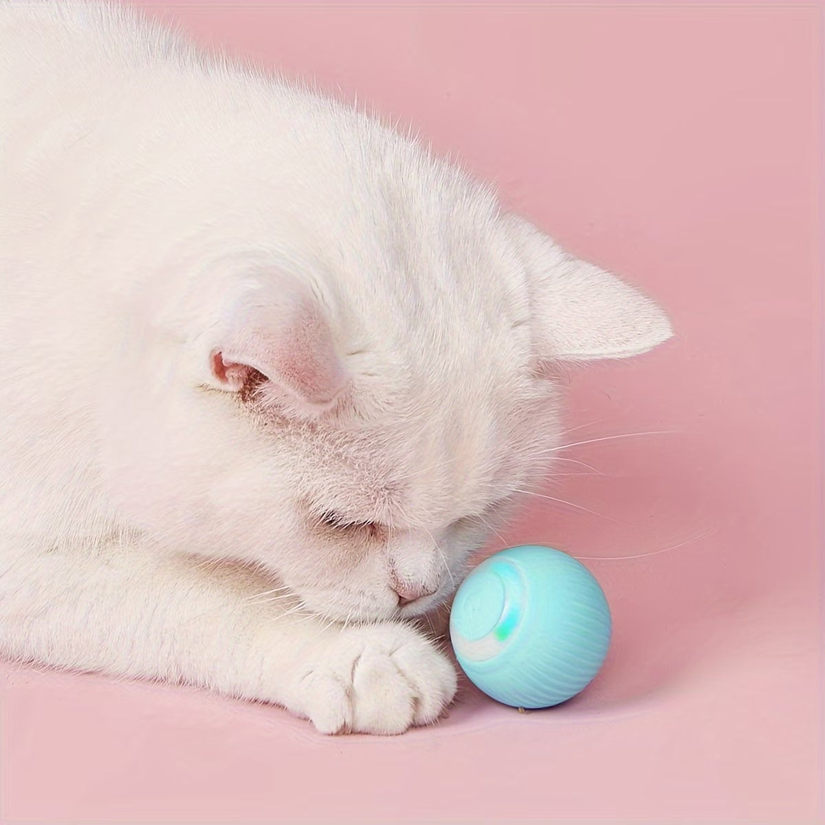 AutoBall™ - Selvbevegende lekeball for katter og små hunder