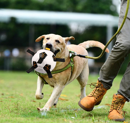 Hundeball med tau