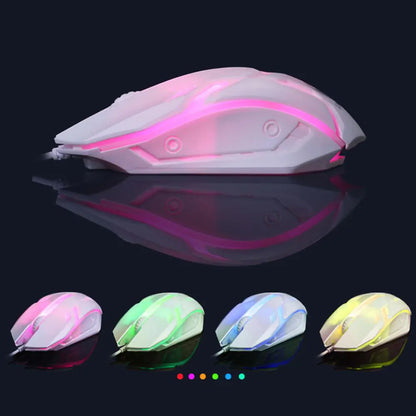 Gaming Tastatur og Mus