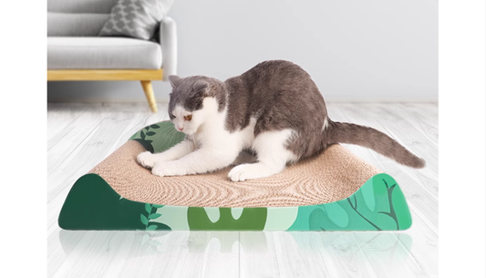 Klorebrett til Katt