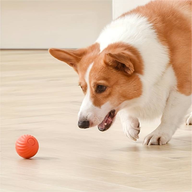AutoBall™ - Selvbevegende lekeball for hunder