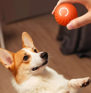 AutoBall™ - Selvbevegende lekeball for hunder