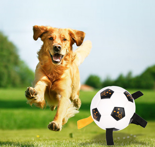 Hundeball med tau