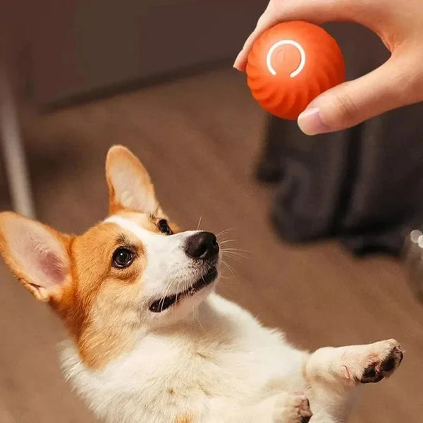 AutoBall™ - Selvbevegende lekeball for hunder