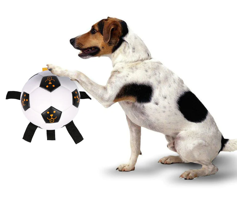 Hundeball med tau