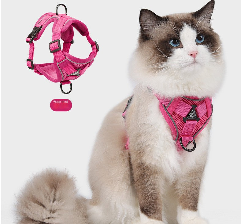 Brystsele til Katt - med refleks