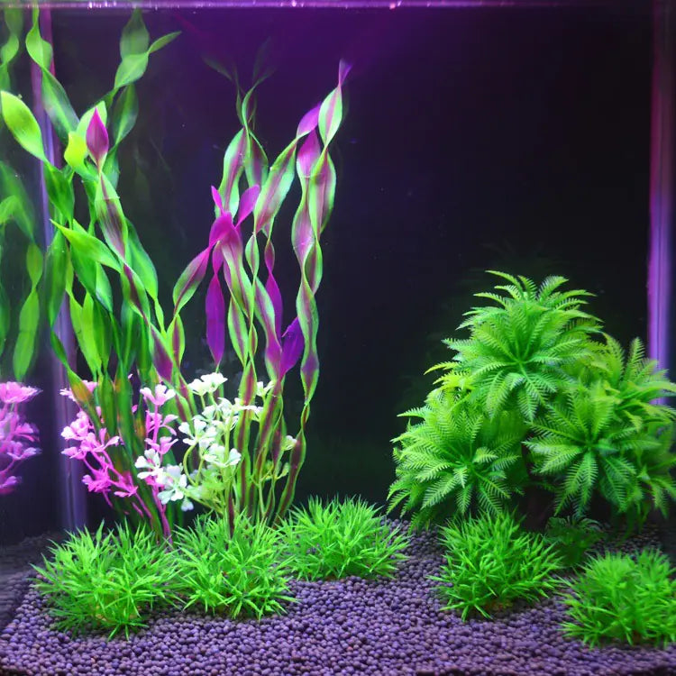 Fargerikt sjøgress - pynt til akvarium
