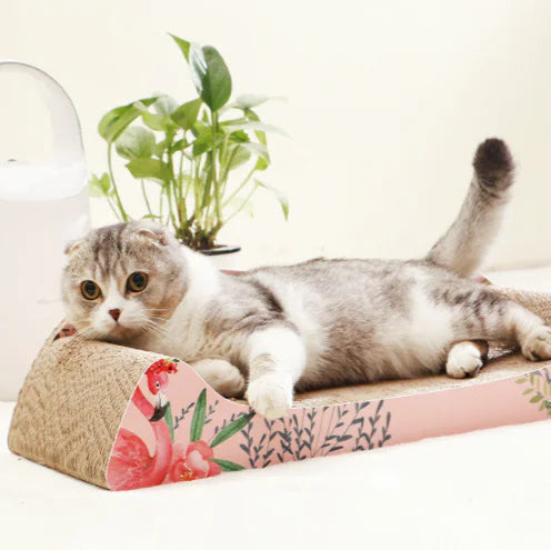 Klorebrett til Katt